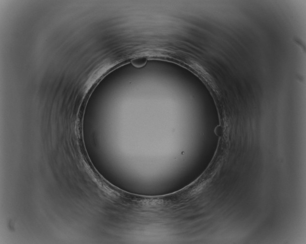 X0000101120893200807031801