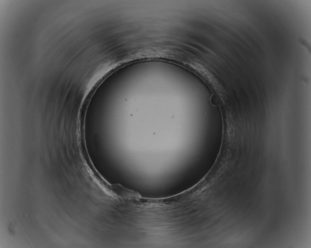 X0000101120894200807031801