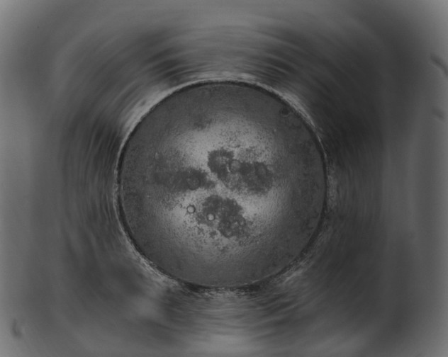 X0000101120895200807031801