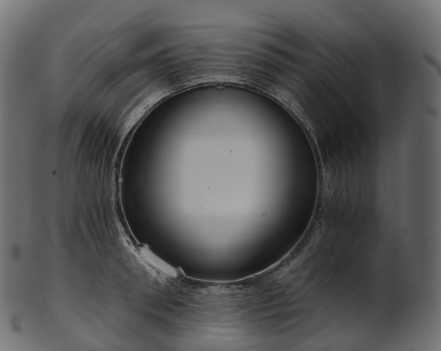 X0000101120898200807031801