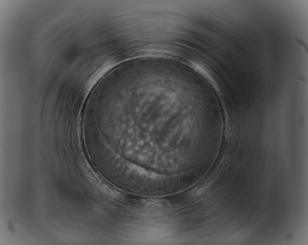 X0000101120899200807031801