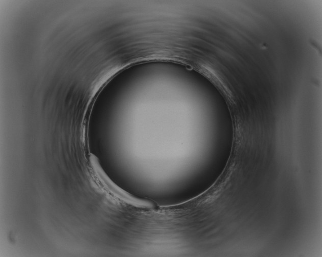 X0000101120900200807031801