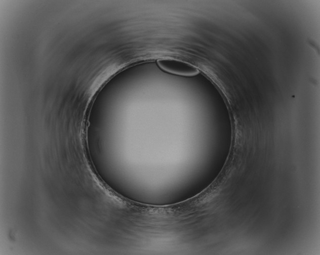 X0000101120901200807031800