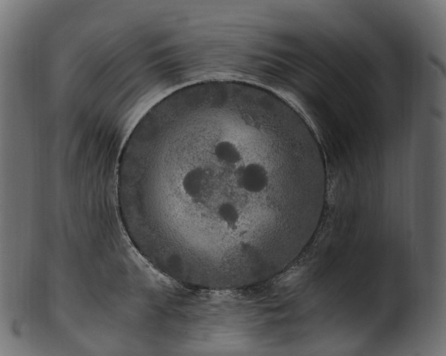 X0000101120903200807031800