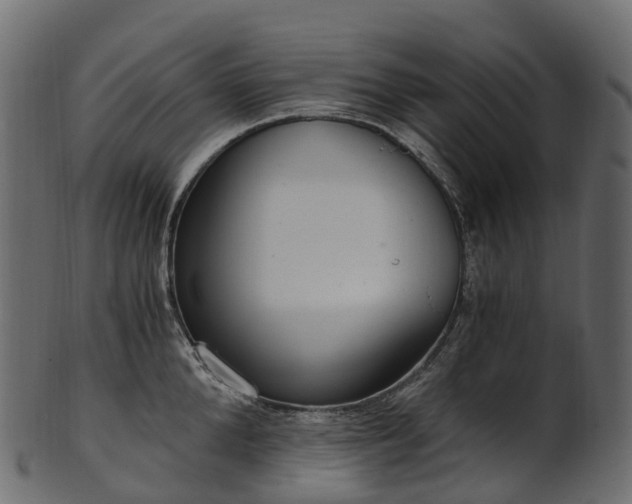X0000101120904200807031800