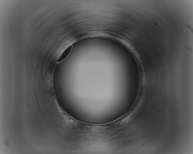 X0000101120905200807031800