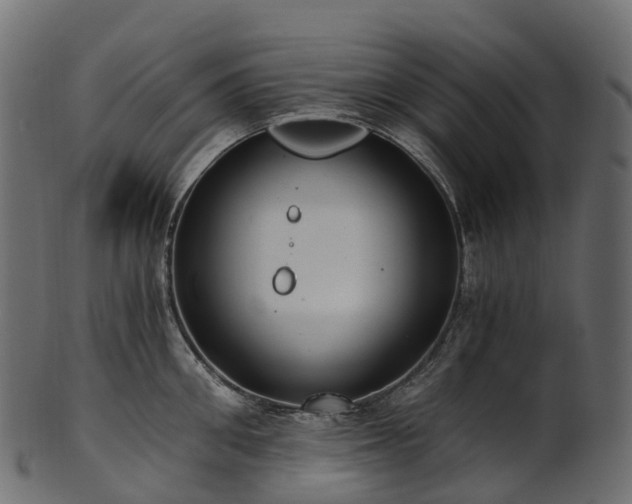 X0000101120906200807031800