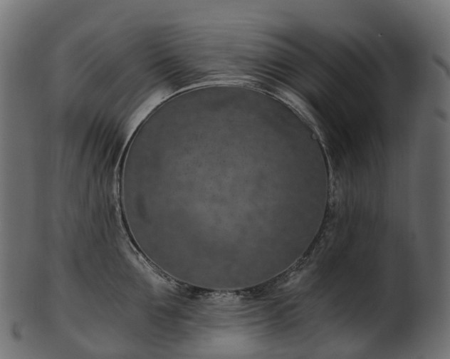 X0000101120907200807031800