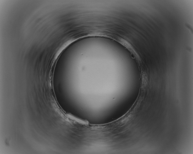X0000101120908200807031800