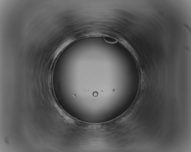 X0000101120909200807031800