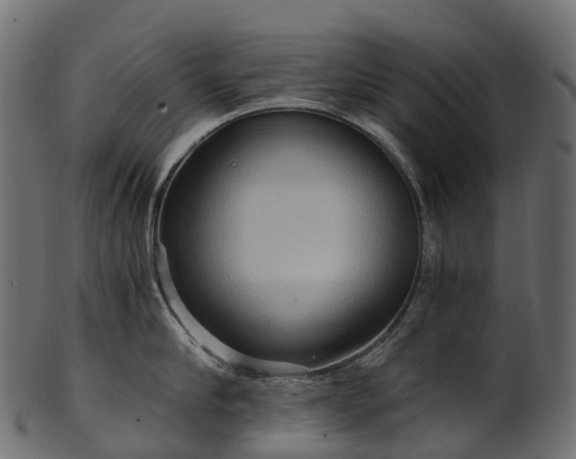 X0000101120910200807031800