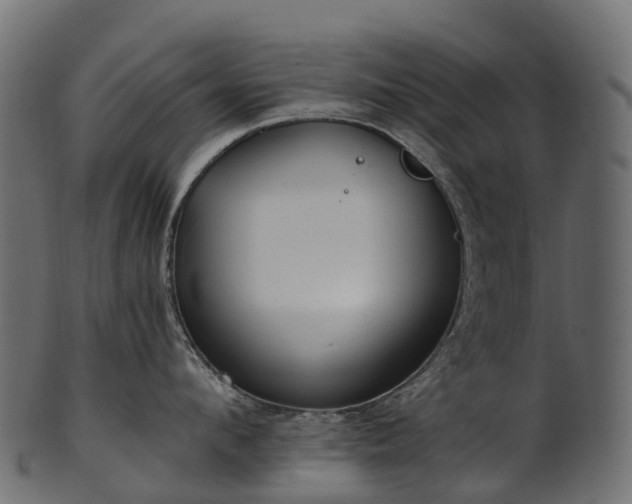 X0000101120912200807031800