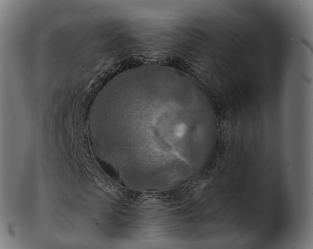 X0000101120913200807031800