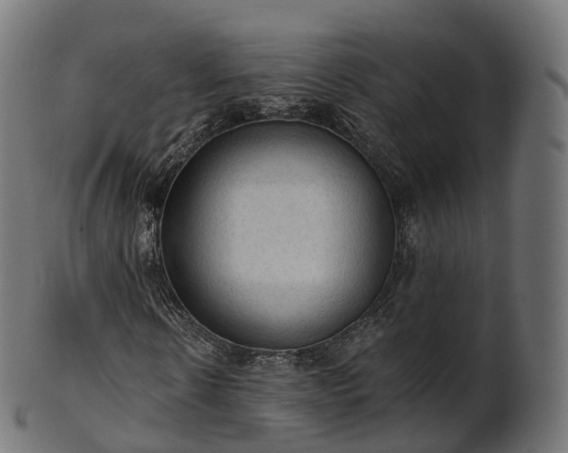 X0000101120914200807031800