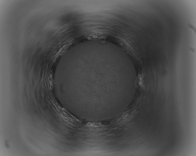 X0000101120915200807031800
