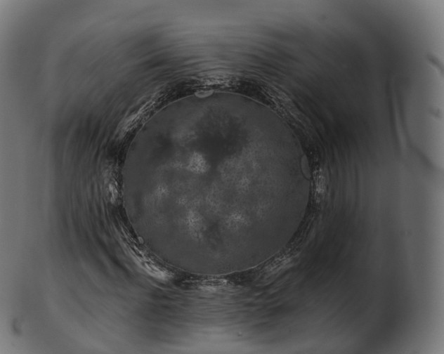 X0000101120916200807031800