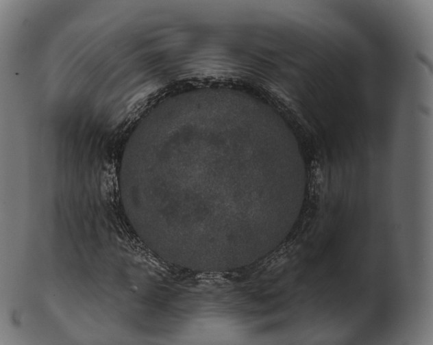 X0000101120918200807031800