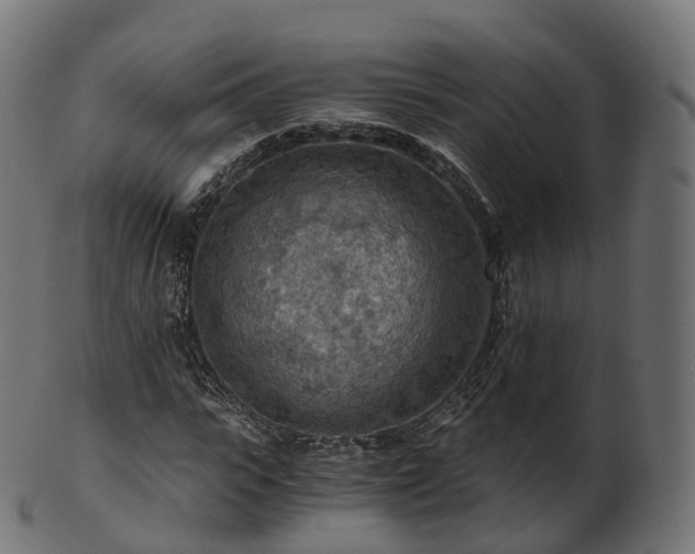 X0000101120919200807031800