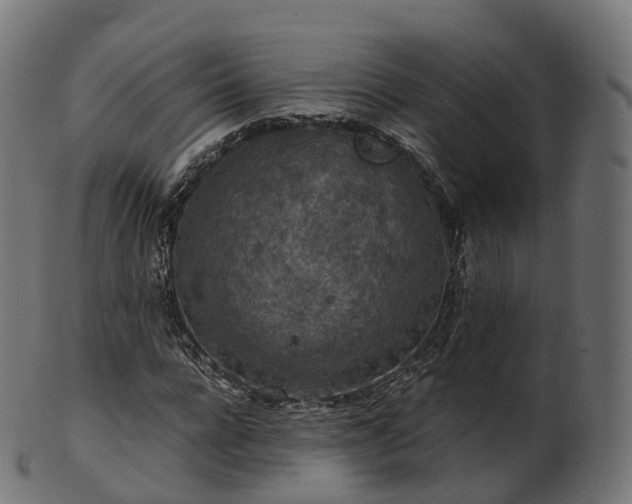 X0000101120920200807031800
