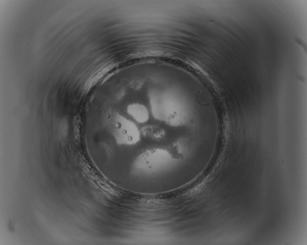 X0000101120921200807031800