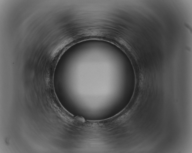 X0000101120922200807031800