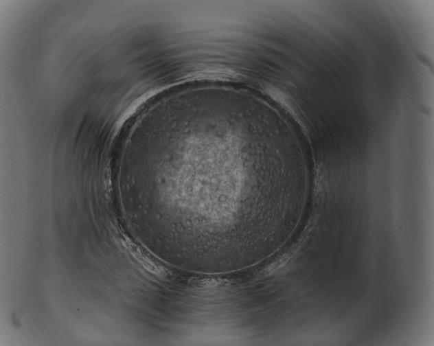 X0000101120923200807031800
