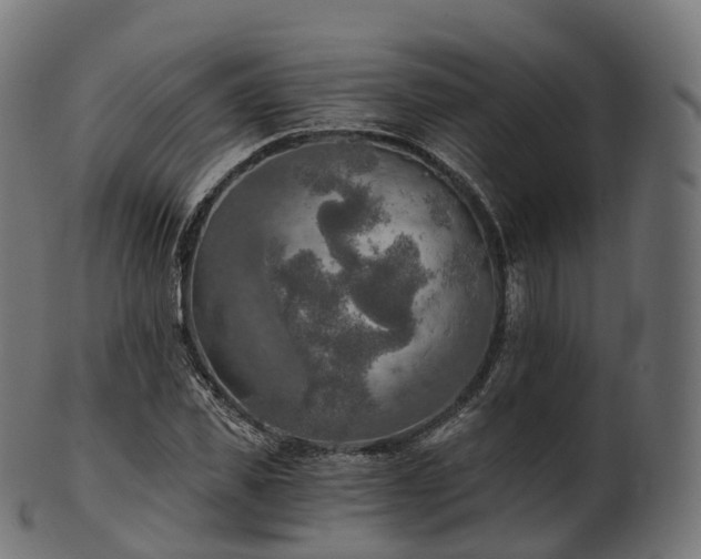 X0000101120925200807031800