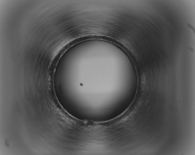 X0000101120926200807031800