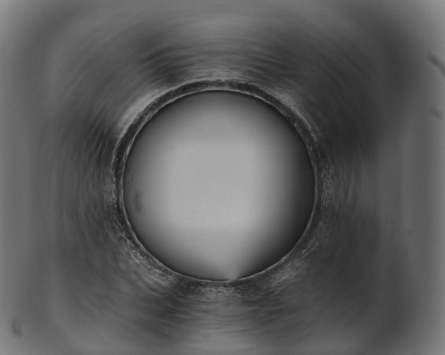 X0000101120927200807031800