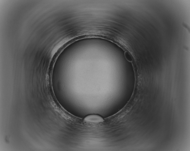X0000101120928200807031800