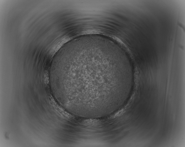 X0000101120929200807031800