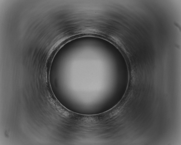 X0000101120931200807031800