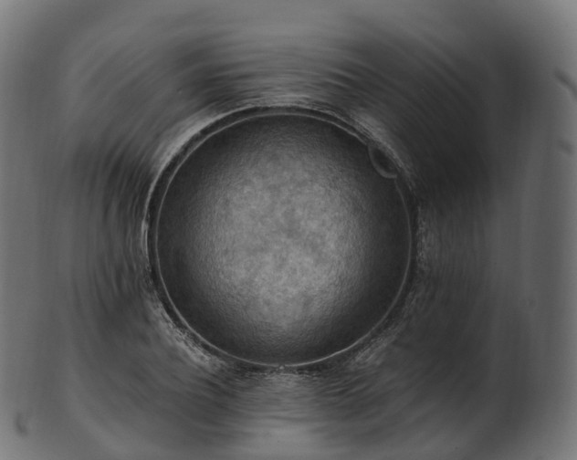 X0000101120932200807031800