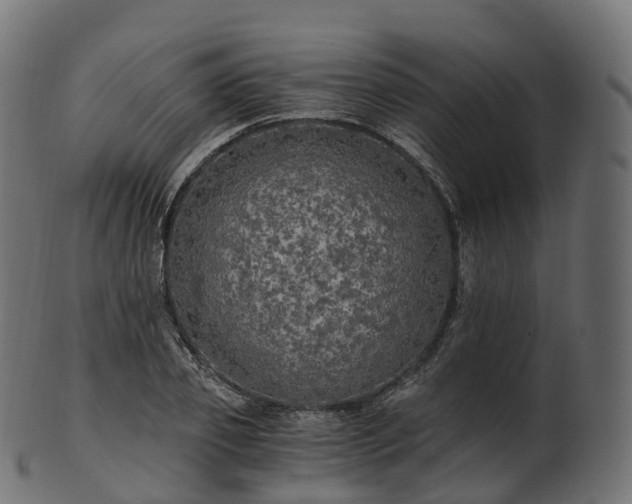 X0000101120933200807031800