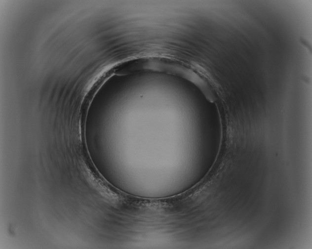 X0000101120934200807031800