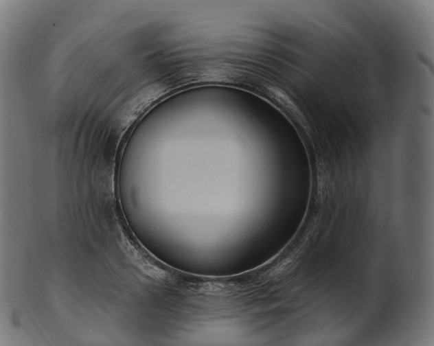X0000101120938200807031800