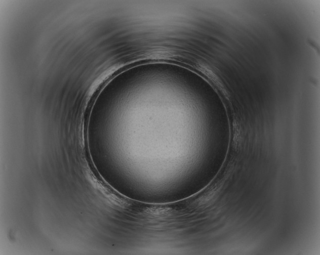 X0000101120939200807031800
