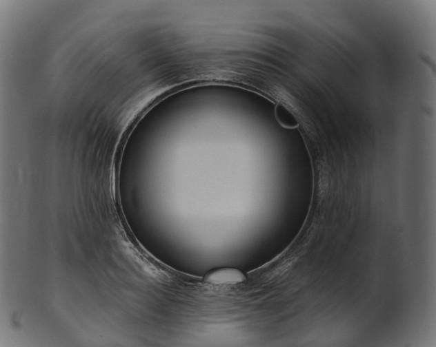 X0000101120940200807031800