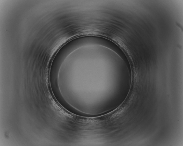 X0000101120941200807031800