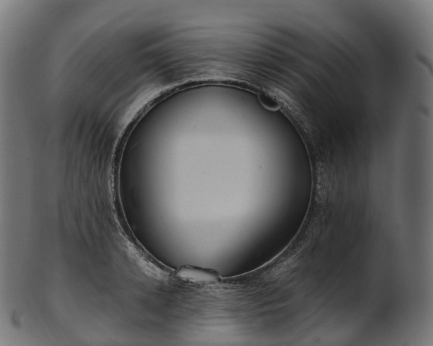 X0000101120942200807031800