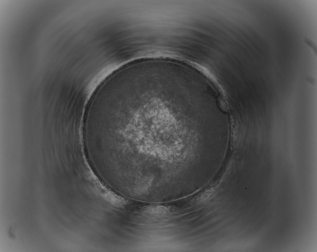 X0000101120943200807031800