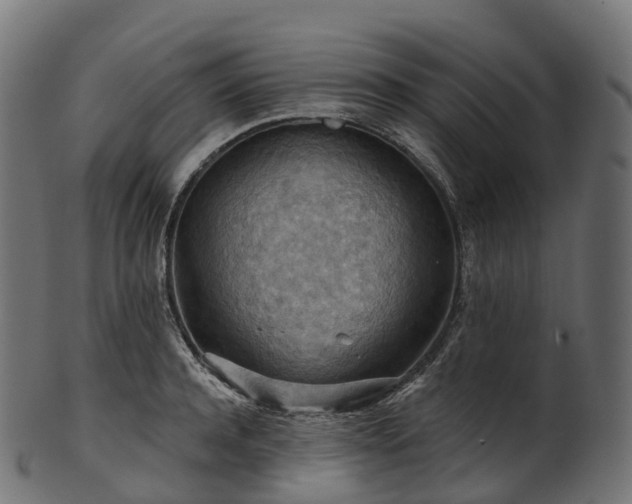 X0000101120944200807031800