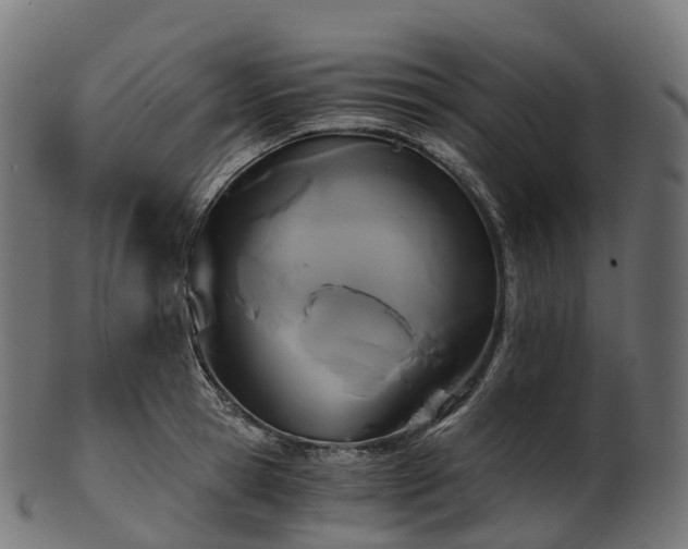 X0000101120945200807031800