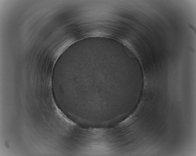 X0000101120946200807031800