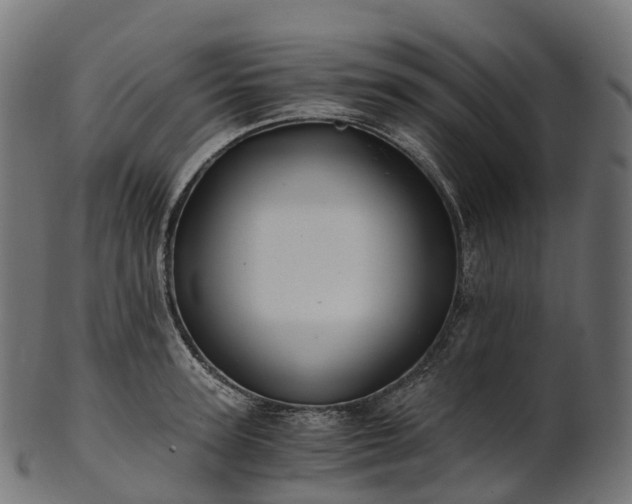 X0000101120947200807031800