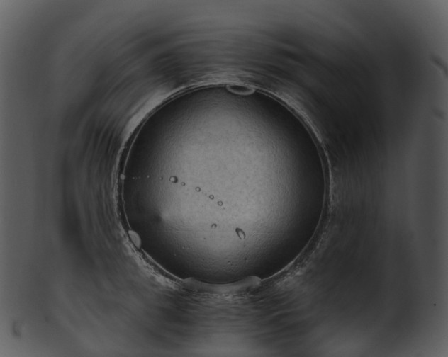 X0000101120949200807031800