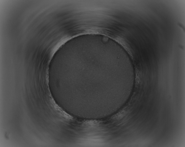 X0000101120950200807031800