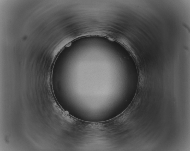 X0000101120952200807031800