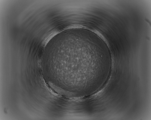 X0000101120953200807031800