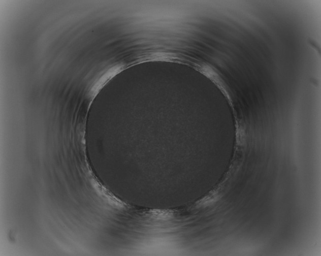 X0000101120954200807031800